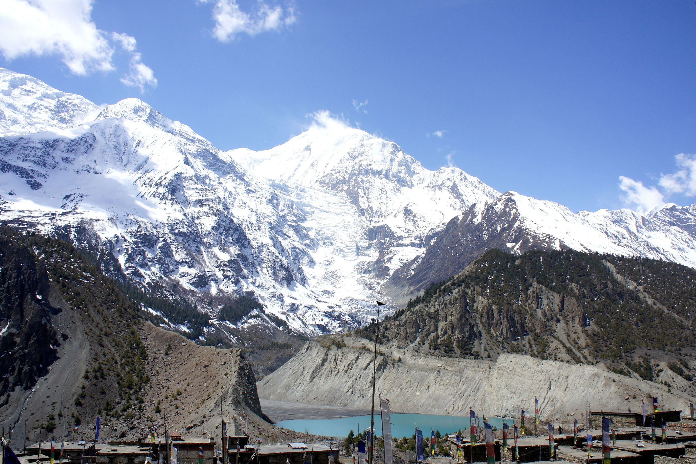 manang (4).webp